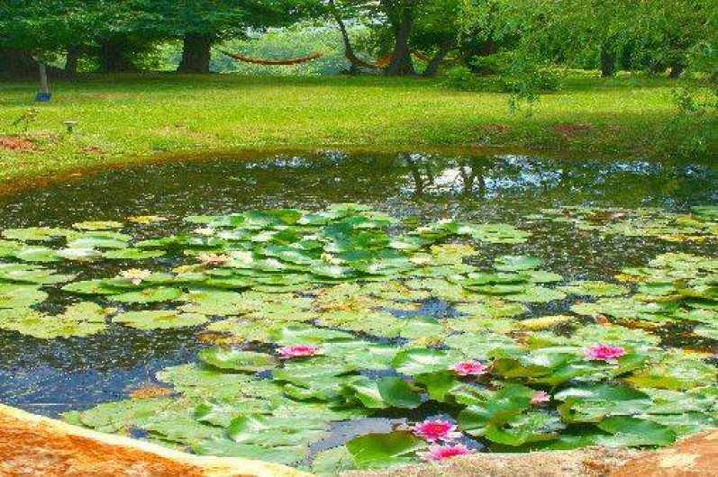 Location de vacances - Villa à Simeyrols - Petite marre peu profonde et Hamacs dans le jardin avec vue sur la vallée