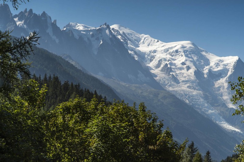 Location de vacances - Chalet à Chamonix-Mont-Blanc - Vue sur le Mont Blanc depuis le chalet