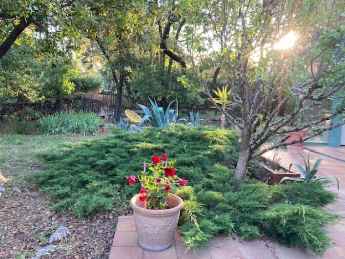 Location de vacances - Maison - Villa à Arpaillargues-et-Aureillac - jardin-terrasse sud