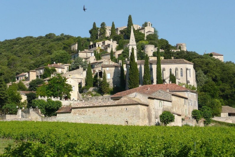 Location de vacances - Villa à Saint-Martin-d'Ardèche - La Roque /s Cèze, magnifique.