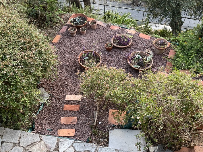 Location de vacances - Villa à Zoagli - Detail du jardin