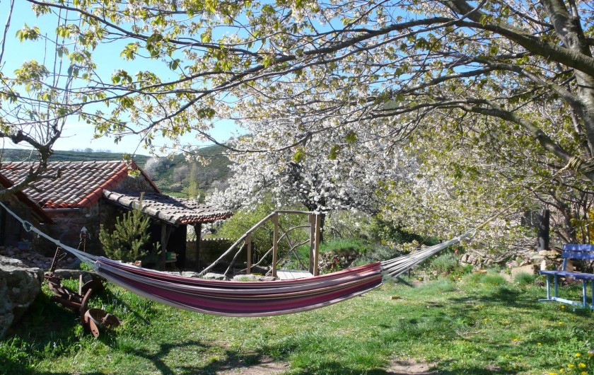 Location de vacances - Camping à Saint-Julien-du-Gua - Le hamac tout prêt pour la sieste sous les cerisiers sauvages