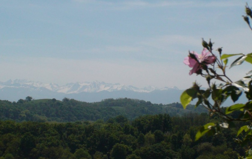 Location de vacances - Gîte à Lucq-de-Béarn - Chaine des Pyrénées