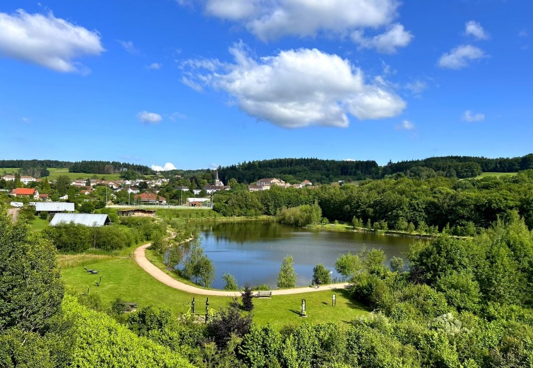 Location de vacances - Chalet à Xertigny