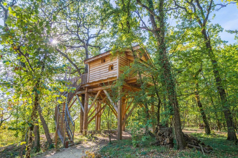 Location de vacances - Cabane dans les arbres à Clairac - Votre cabane de luxe perchée dans les arbres avec jaccuzi privatif